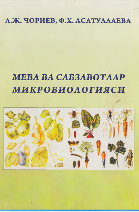 Meva va sabzavotlar mikrobiologiyasi