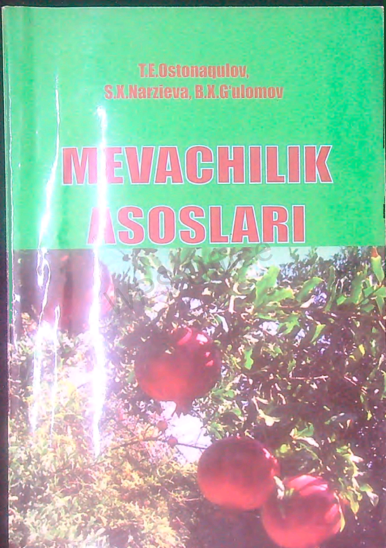 Mevachilik asoslari