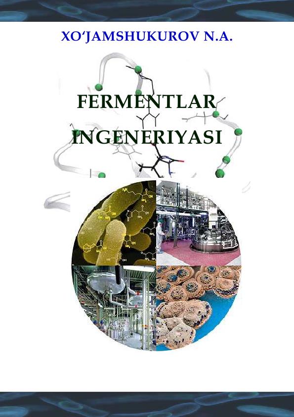 Fermentlar ingeneriyasi