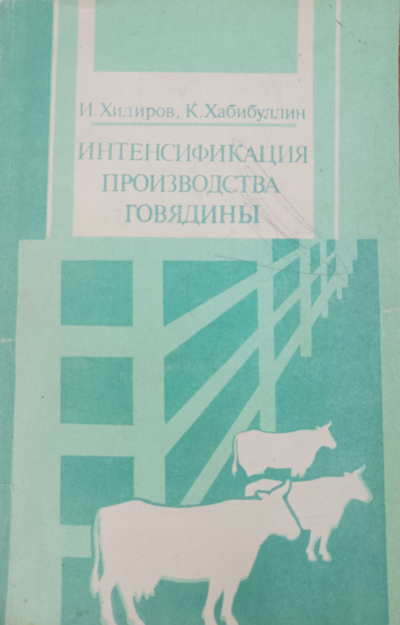 Интенсификация производства говядины