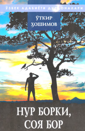 Nur borki soya bor