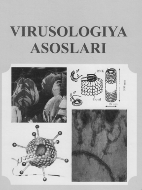 Virusologiya asoslari