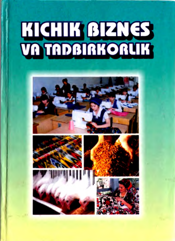 Kichik biznes va tadbirkorlik