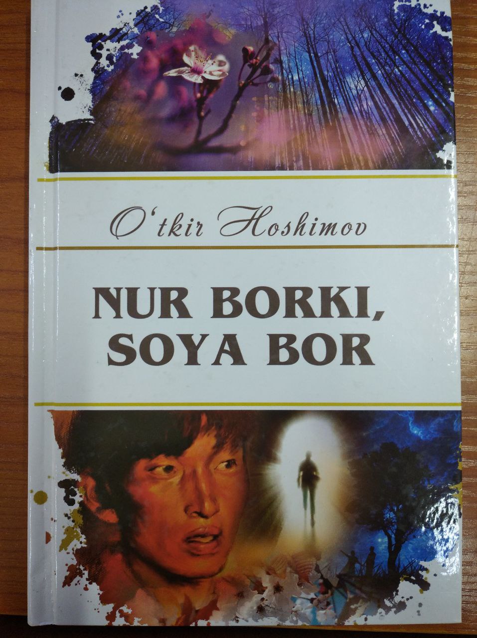 Nur borki, soya bor