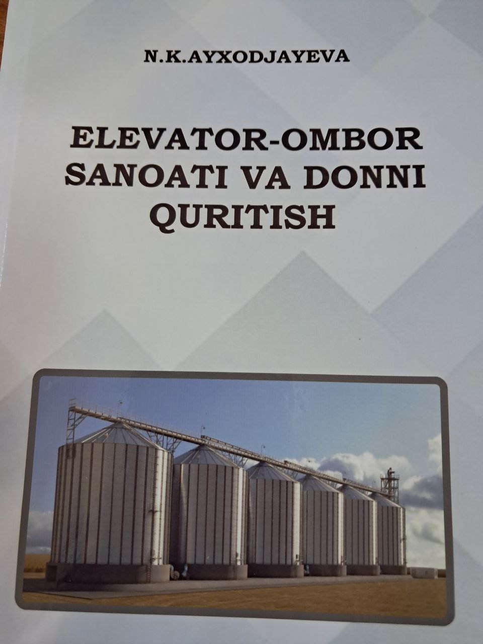 Elevator-ombor sanoati va donni quritish