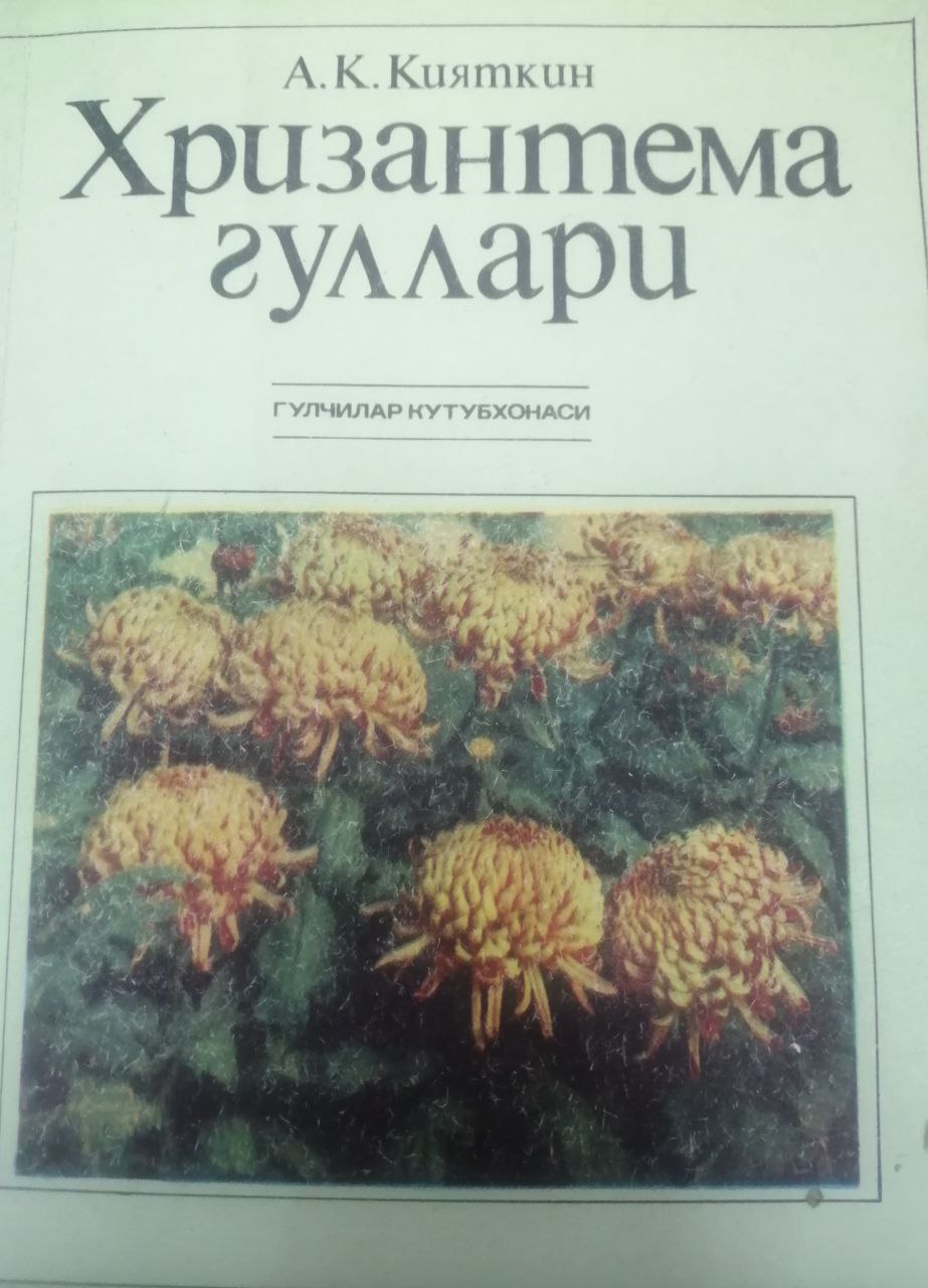 Xrizantema gullari.Gulchilar kutubxonasi