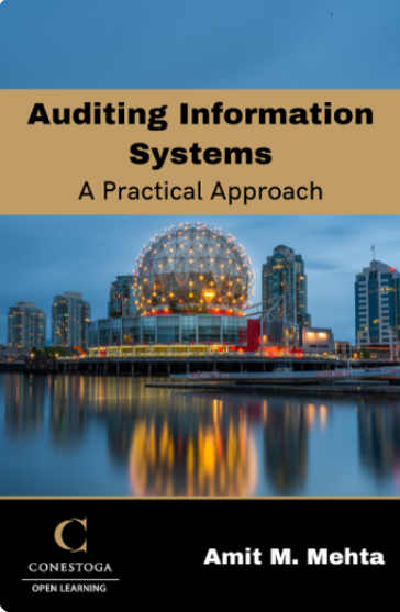 Auditing Information Systems: A Practical Approach