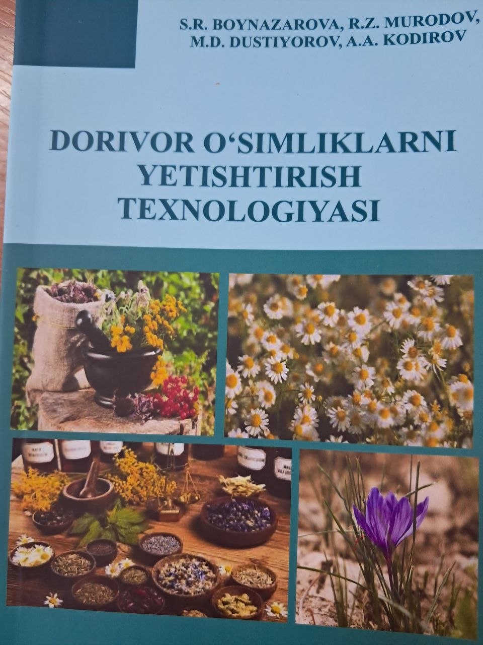 Dorivor o'simliklarni yetishtirish texnologiyasi
