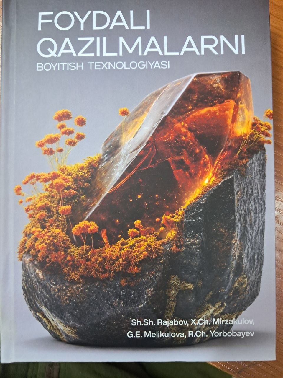 Foydali qazilmalarni boyitish texnologiyasi