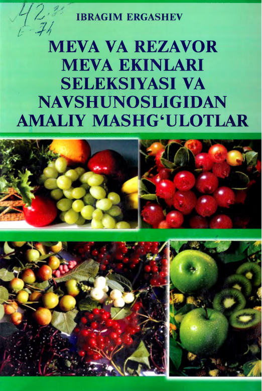 MEVA VA REZAVOR MEVA EKINLARI SELEKSIYASI VA NAVSHUNOSLIGIDAN AMALIY MASHG‘ULOTLAR